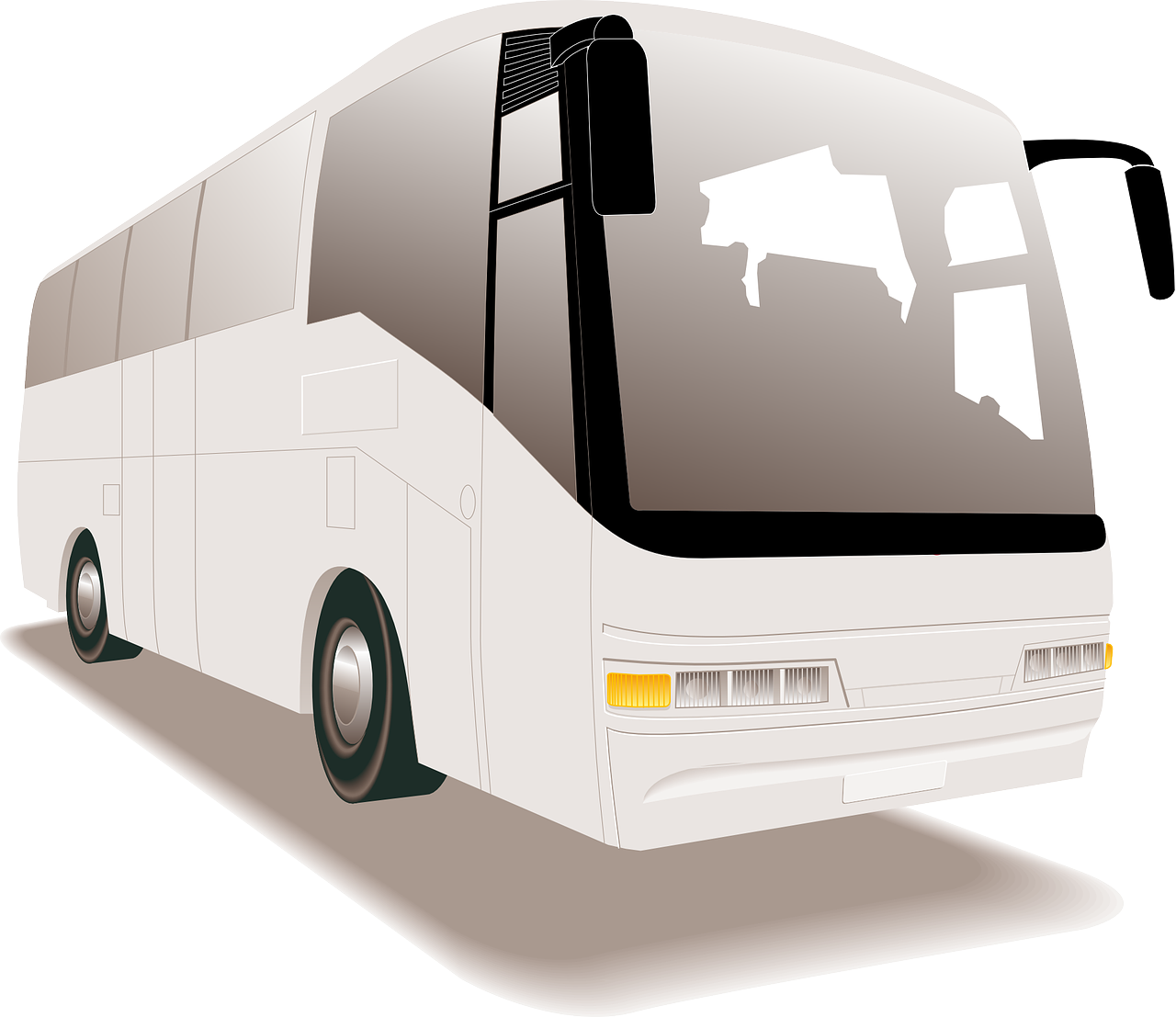bus